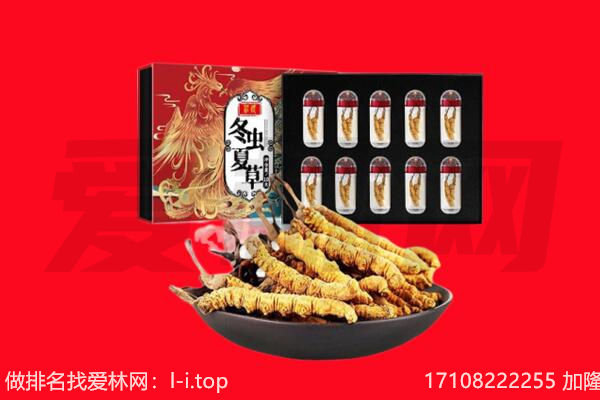 姚安县回收虫草.jpg